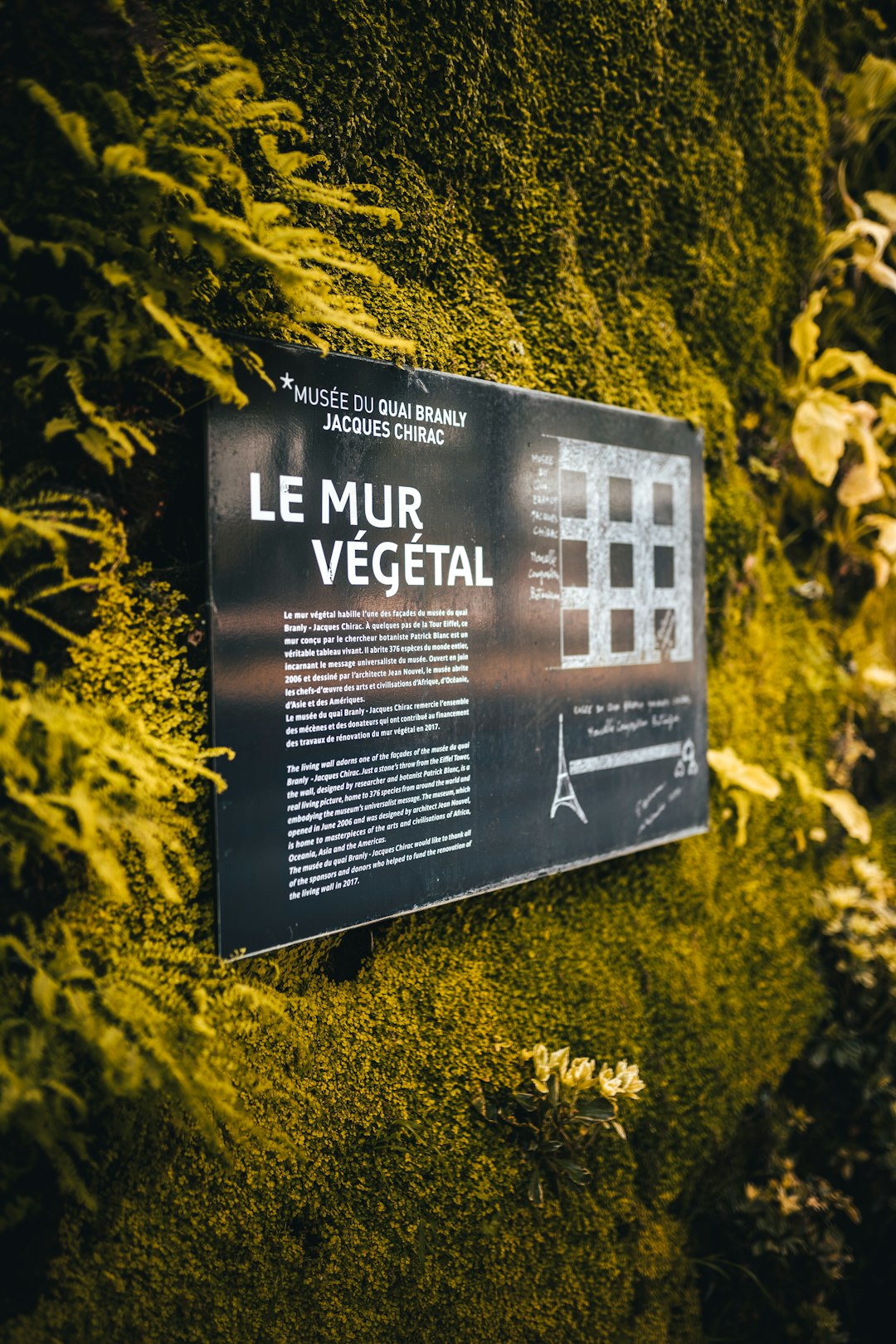 paris,france,building,street,flower,nature,sign